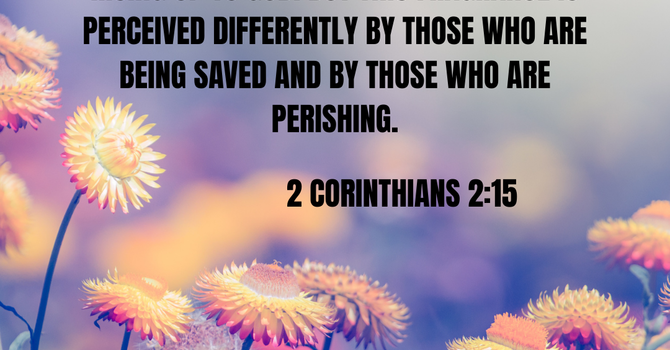 2 Corinthians 2:15 image
