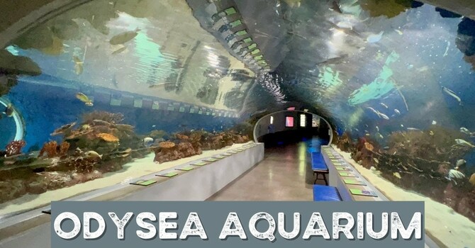 ODYSEA AQUARIUM FIELD TRIP