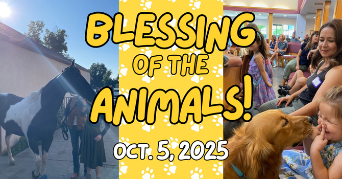 Blessing of the Animals