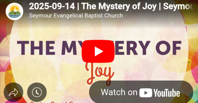 The Mystery of Joy