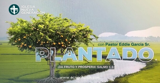 PLANTADO