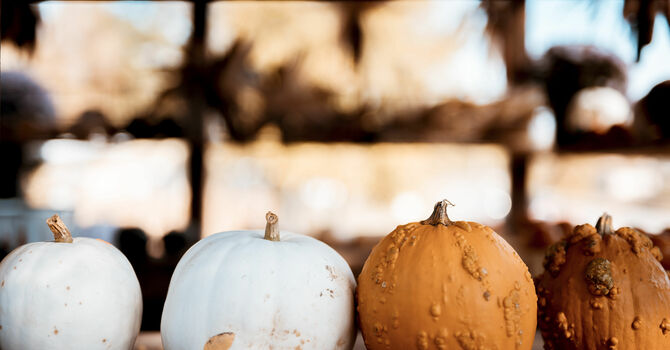 Lend a Hand this Halloween: Help clean up the Vestry, 6 pm image