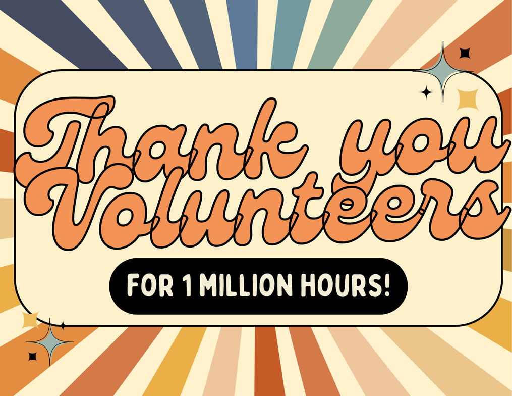 Million Volunteer Hours Photo