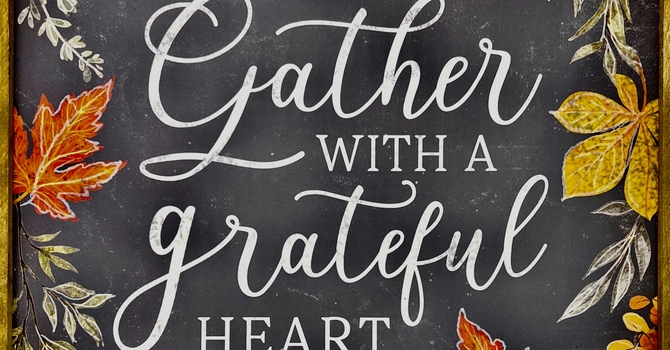 Happy Thanksgiving!