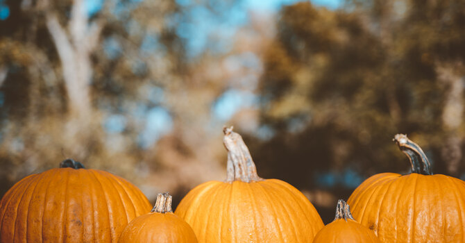 Lend a Hand this Halloween: Help clean up the Vestry, 6 pm image