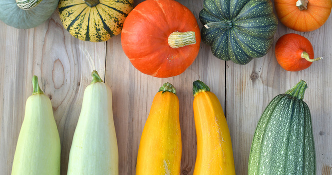 October Updates from the Shelbourne Community Kitchen