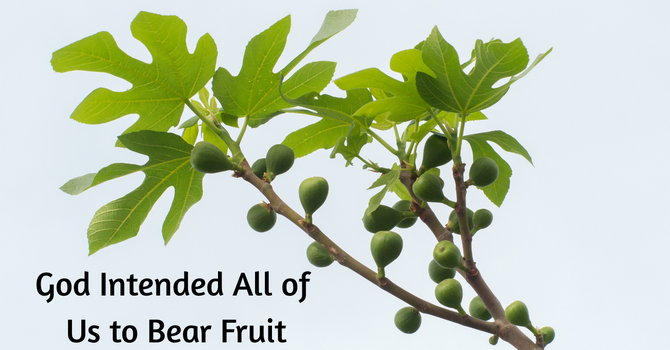 God Intended All of  Us to Bear Fruit