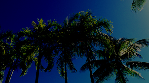 1 John- So Our Joy May Be Full