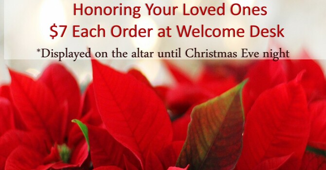 Honoring Your Loved Ones With Poinsettias 
