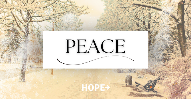 Advent 2025 - Peace