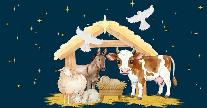 Christmas in the Barn