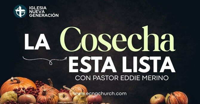 LA COSECHA ESTA LISTA