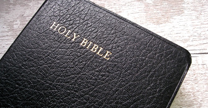 The Word, The Light, and The Life