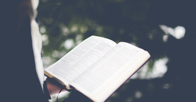 Jesus - Our Prince of Peace! 