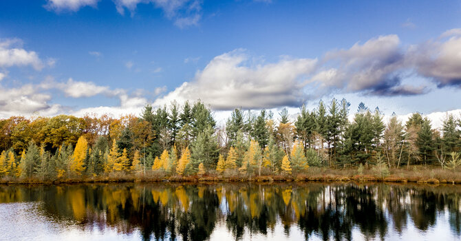 "The Color of Thanksgiving" image