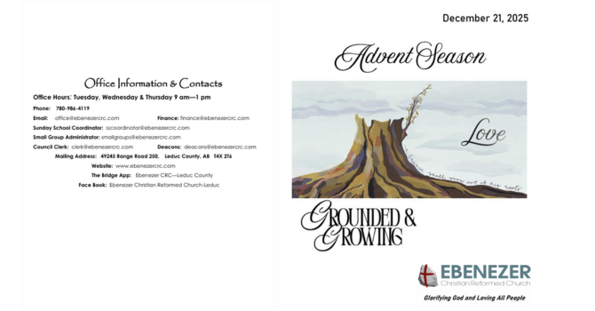 December 21, 2025 Bulletin