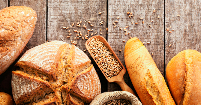 Challenging Jesus' Claim