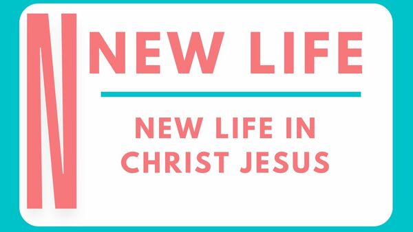 Who's Really in Charge? 