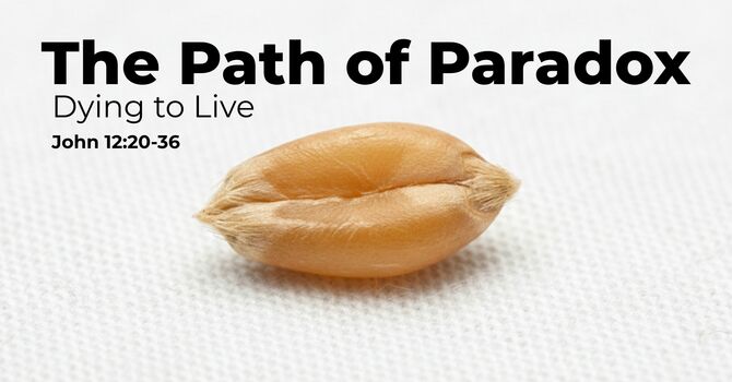 The Path of Paradox