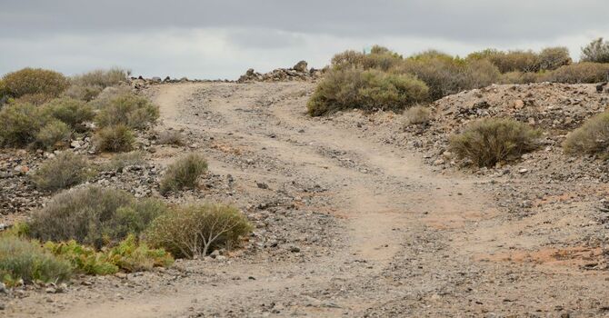 Praying-A poem by Mary Oliver image