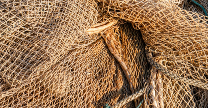 Rev. Karen's Reflection for January 18th, 2026