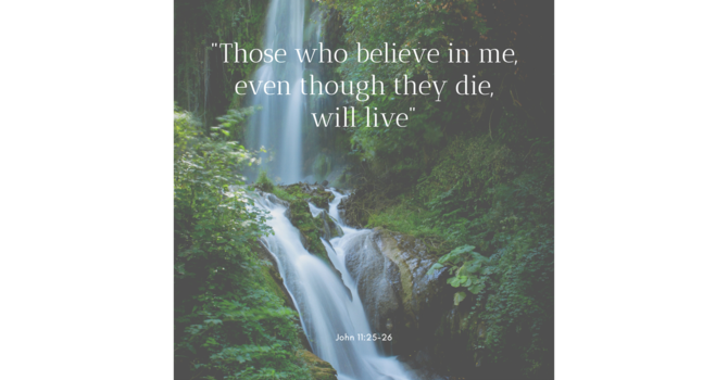 3rd Sunday after the Epiphany