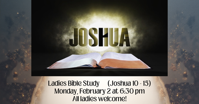Ladies Bible Study