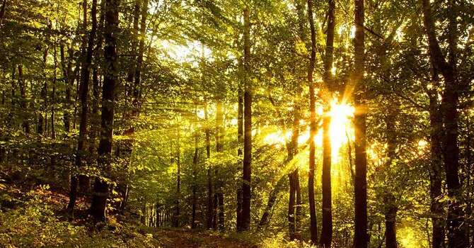 Approach the Throne of Grace