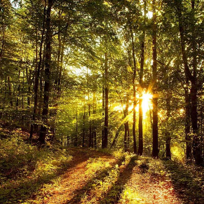 Approach the Throne of Grace