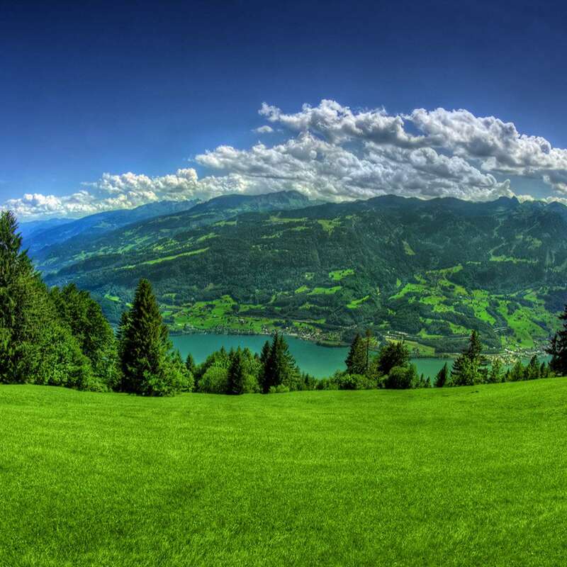 Green Pastures and Still Waters