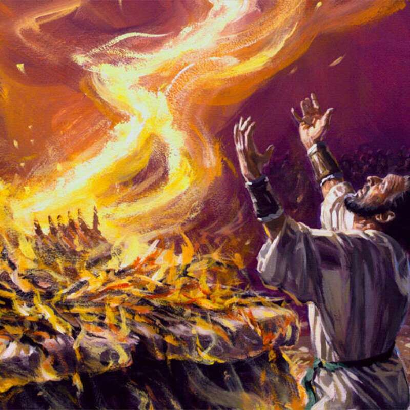 Why Are You Here, Elijah? - Part 1