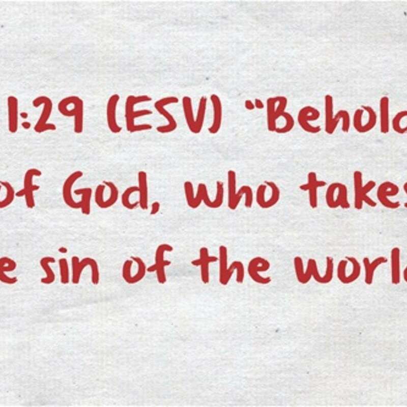 Look! Listen! Pay Attention!