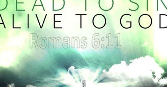 Dead to Sin, Alive in Christ