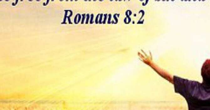 A Spirit of Life and Peace