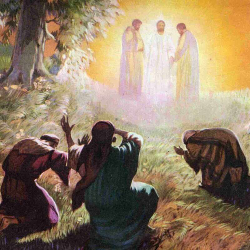 The Law, the Prophets, and the Word