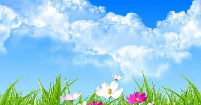 A Homily for Maydell