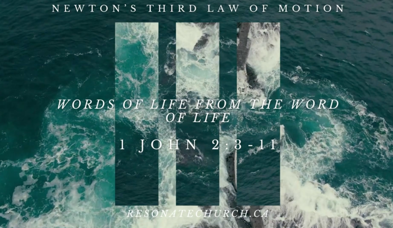 Newton's Third Law Of Motion