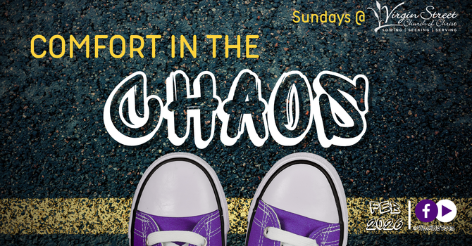 "Comfort in the Chaos"