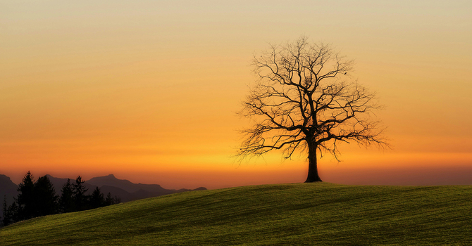 Our years of solitude - Discovering our unique self