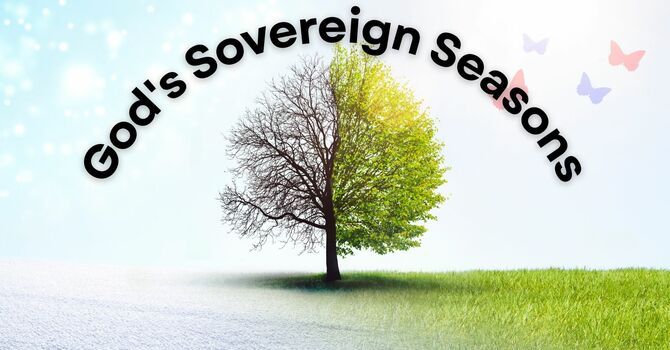 God's Sovereign Seasons