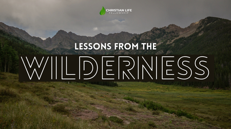 Lessons from the Wilderness