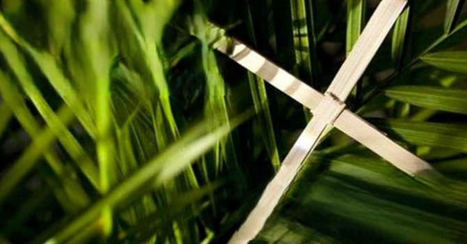 Sweetgrass HOA Annual Meeting