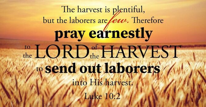 Released to Transform