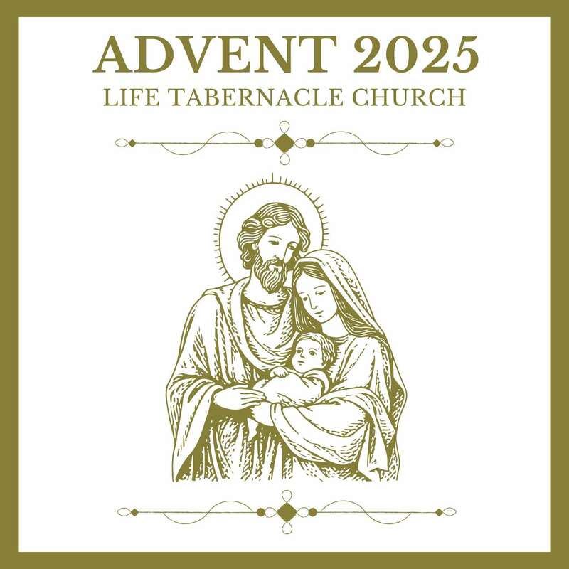 Advent 2025 | Peace in the Pasture | Luke 2:8-20 | D...