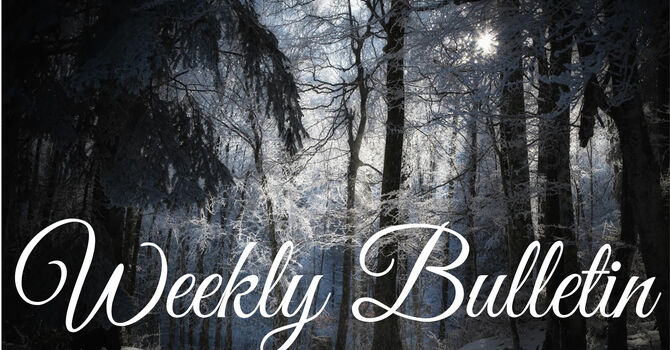 Bulletin for February 14 & 15, 2026