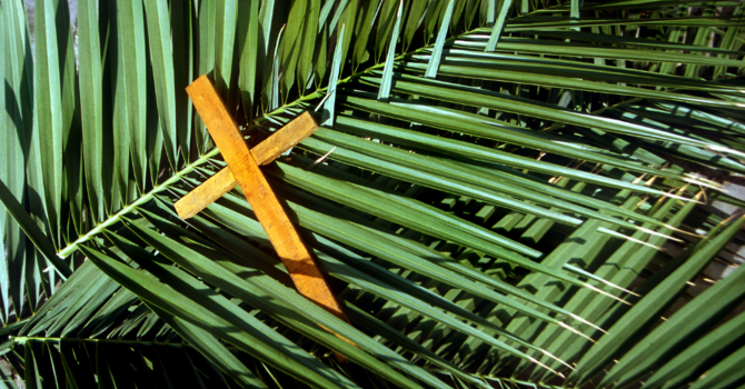 Palm Sunday