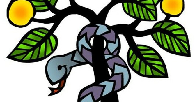 Sunday, February 22, 2026 - First Sunday in Lent