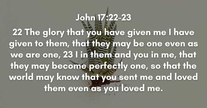 John 17:22-23 image