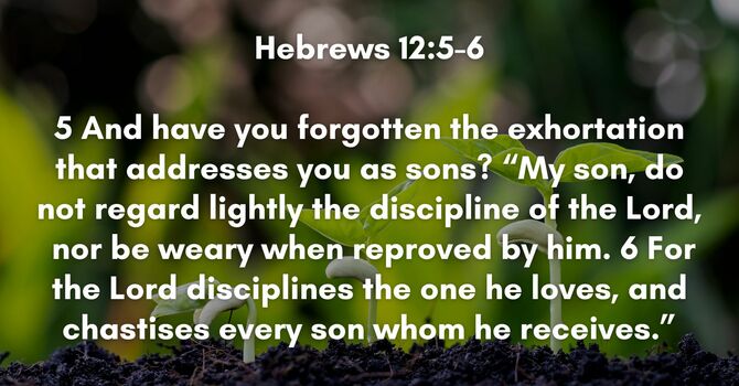 Hebrews 12:5-6 image