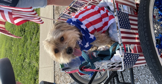 4th of July Bike Parade